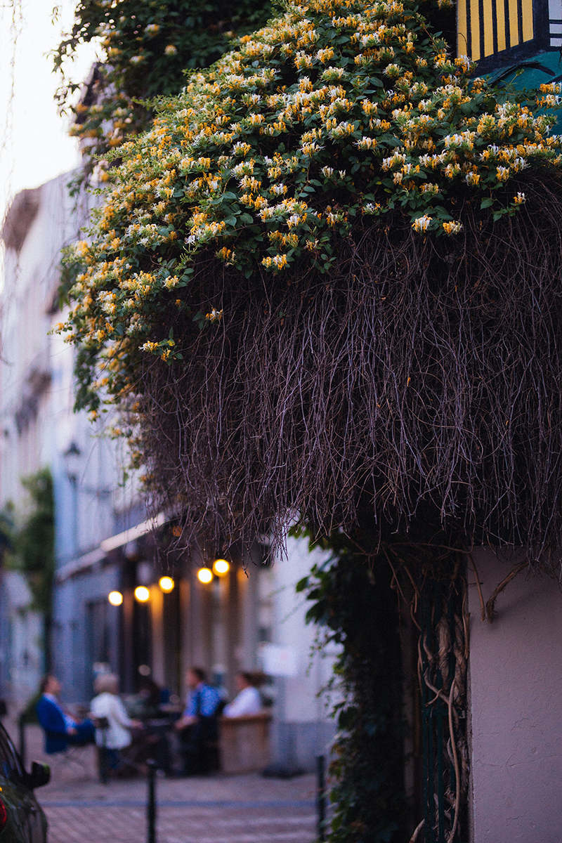 Resto Henri